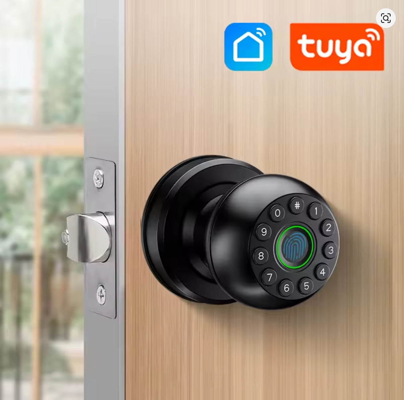 Interior Door Tuya SmartLife APP Smart Fingerprint Password Spherical Lock Dead Bolt For Home Wooden Metal Door