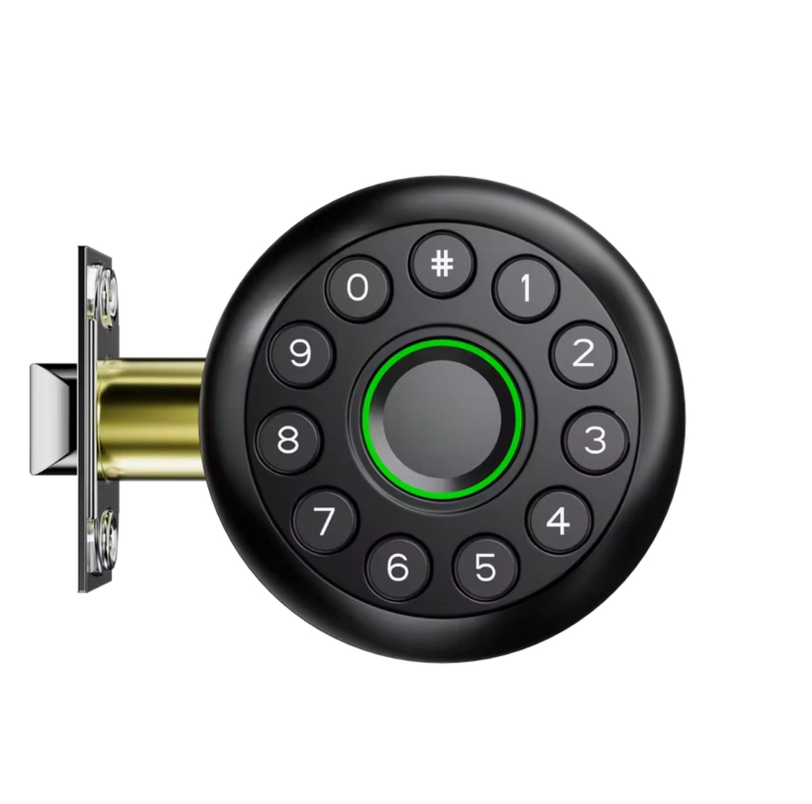 Interior Door Tuya SmartLife APP Smart Fingerprint Password Spherical Lock Dead Bolt For Home Wooden Metal Door