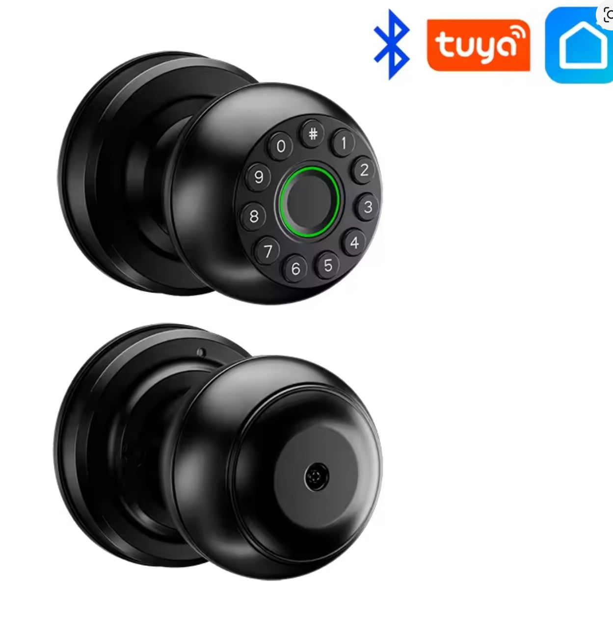 Interior Door Tuya SmartLife APP Smart Fingerprint Password Spherical Lock Dead Bolt For Home Wooden Metal Door