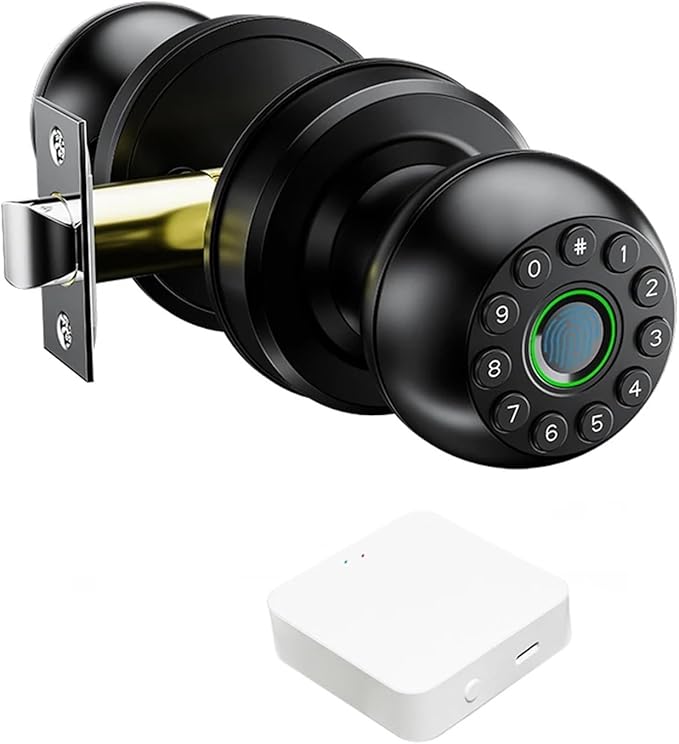 Interior Door Tuya SmartLife APP Smart Fingerprint Password Spherical Lock Dead Bolt For Home Wooden Metal Door