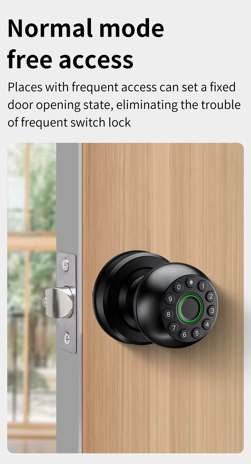 Interior Door Tuya SmartLife APP Smart Fingerprint Password Spherical Lock Dead Bolt For Home Wooden Metal Door