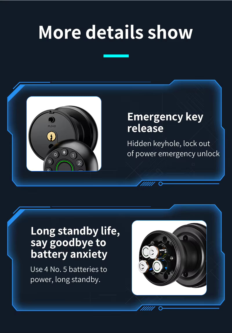 Interior Door Tuya SmartLife APP Smart Fingerprint Password Spherical Lock Dead Bolt For Home Wooden Metal Door