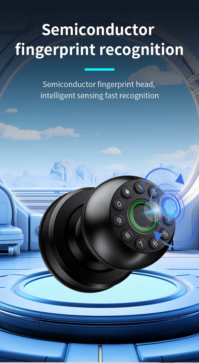 Interior Door Tuya SmartLife APP Smart Fingerprint Password Spherical Lock Dead Bolt For Home Wooden Metal Door